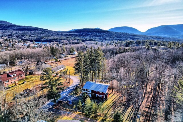 31 Showers Rd, Hunter, NY 12485 - photo 14