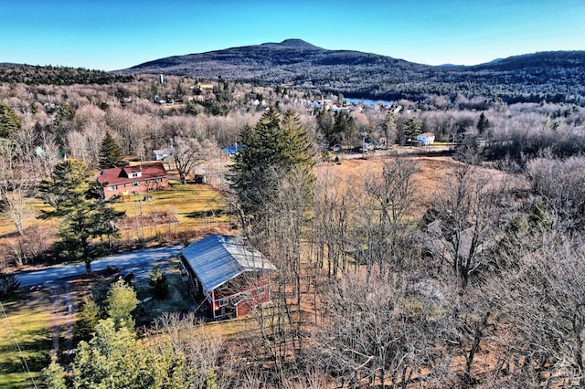 31 Showers Rd, Hunter, NY 12485 - photo 15