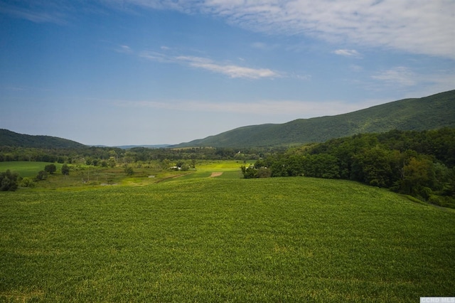 0 Boston Corners Rd, Millerton, NY 12546 - photo 1