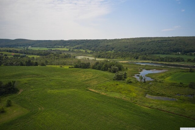 0 Boston Corners Rd, Millerton, NY 12546 - photo 13