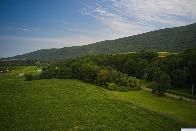 0 Boston Corners Rd, Millerton, NY 12546 - photo 5