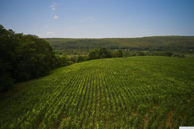 0 Boston Corners Rd, Millerton, NY 12546 - photo 16