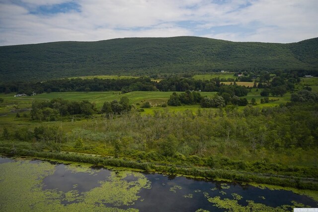 0 Boston Corners Rd, Millerton, NY 12546 - photo 4
