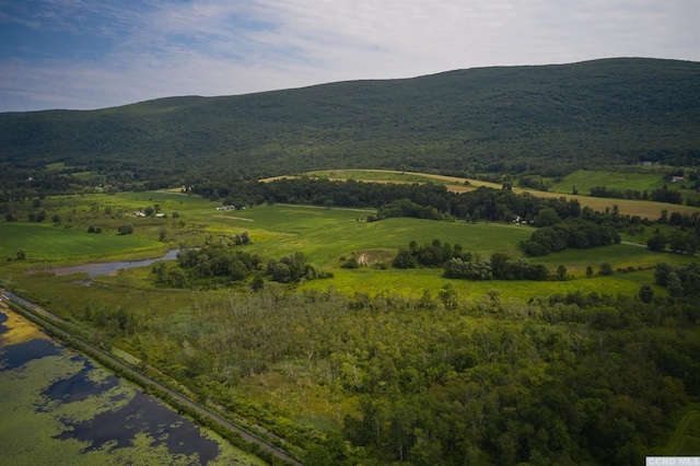 0 Boston Corners Rd, Millerton, NY 12546 - photo 10