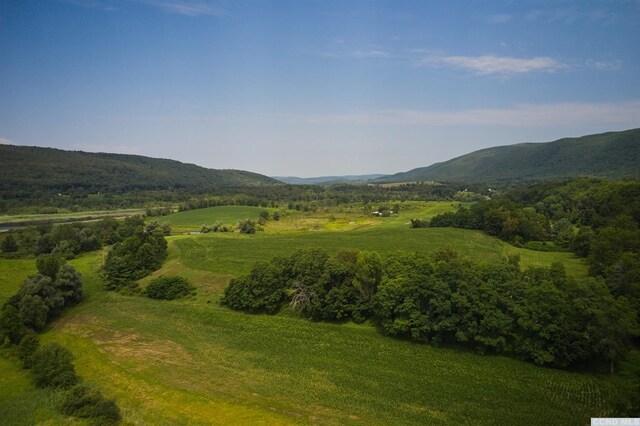 0 Boston Corners Rd, Millerton, NY 12546 - photo 7