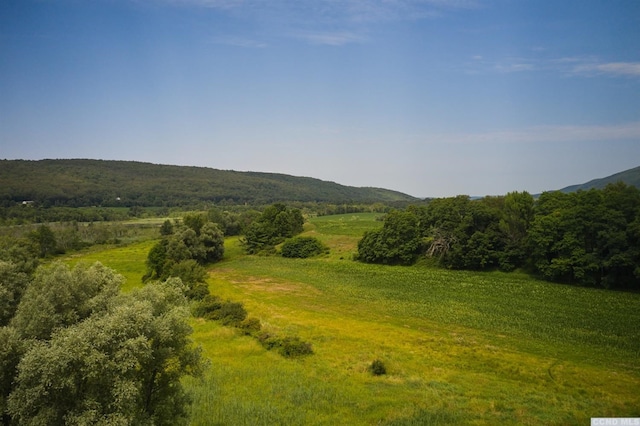 0 Boston Corners Rd, Millerton, NY 12546 - photo 8