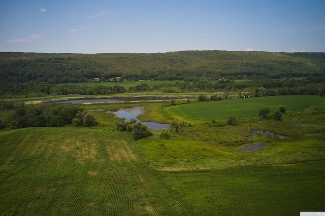 0 Boston Corners Rd, Millerton, NY 12546 - photo 14