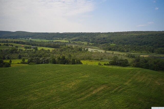 0 Boston Corners Rd, Millerton, NY 12546 - photo 15