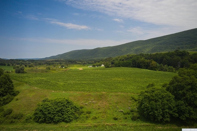 0 Boston Corners Rd, Millerton, NY 12546 - photo 6
