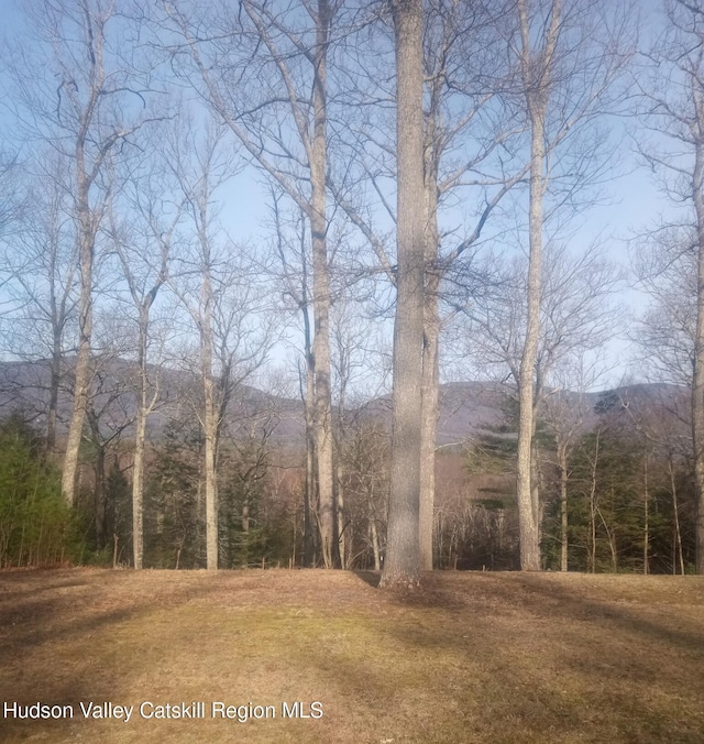 83 Buffalo Rd, Saugerties, NY 12477 - view of local wilderness