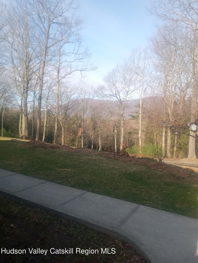 83 Buffalo Rd, Saugerties, NY 12477 - view of yard
