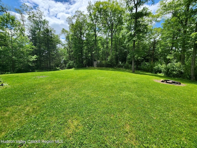83 Buffalo Rd, Saugerties, NY 12477 - view of yard with a fire pit