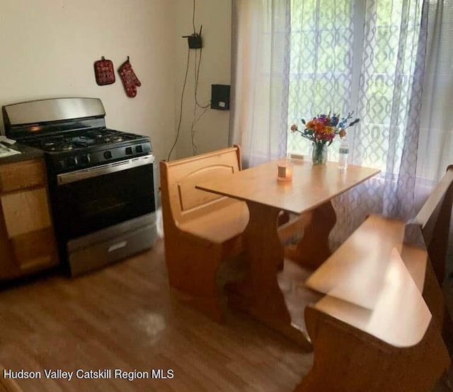 kitchen featuring dark hardwood / wood-style floors and stainless steel range with gas stovetop