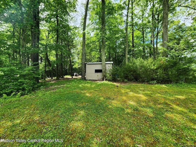 83 Buffalo Rd, Saugerties, NY 12477 - view of yard featuring an outbuilding