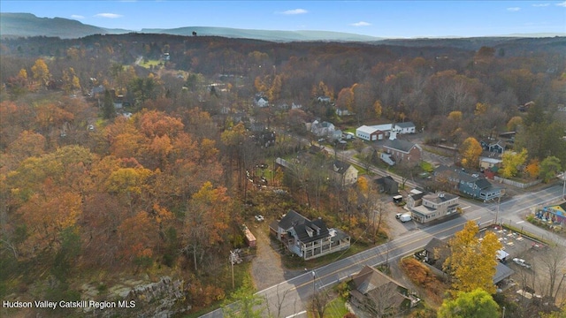 drone / aerial view featuring a mountain view