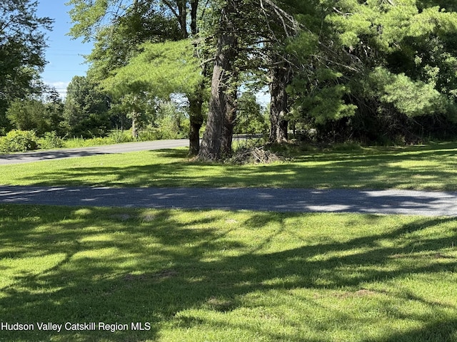 255-257 Mill Rd, Rhinebeck, NY 12572 - photo 8