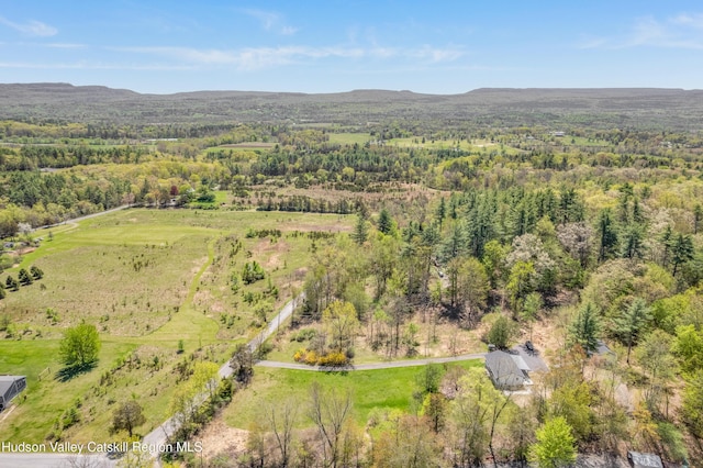 381 Mill Hook Rd, Accord, NY 12404 - photo 36