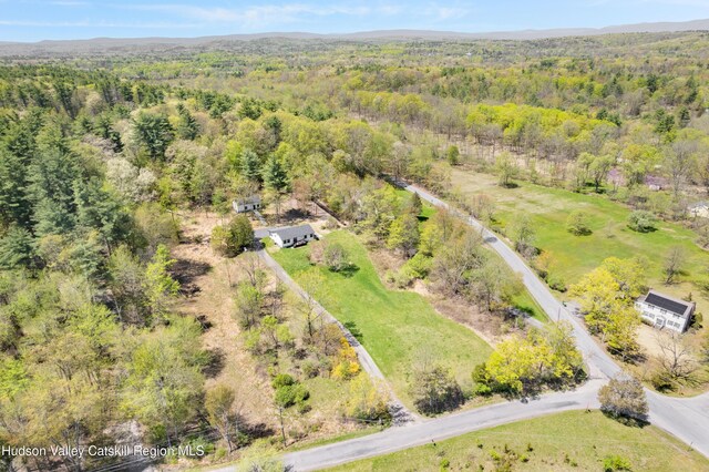381 Mill Hook Rd, Accord, NY 12404 - photo 34