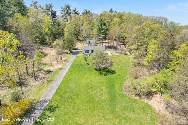 381 Mill Hook Rd, Accord, NY 12404 - photo 33