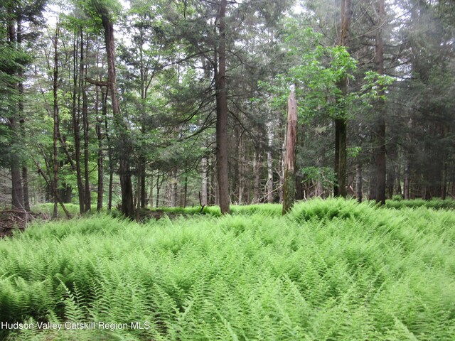 0 Rte 23c Lot, Lexington, NY 12452 - photo 24