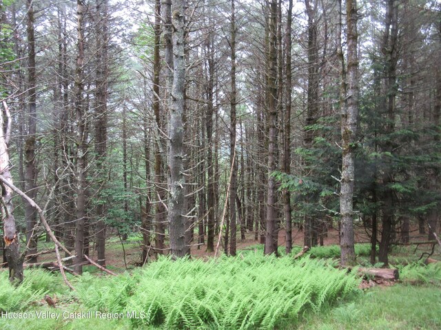 0 Rte 23c Lot, Lexington, NY 12452 - photo 21