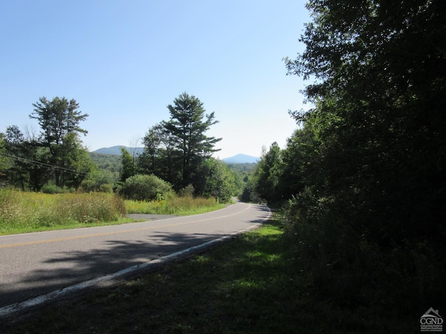 0 Rte 23c Lot, Lexington, NY 12452 - photo 49
