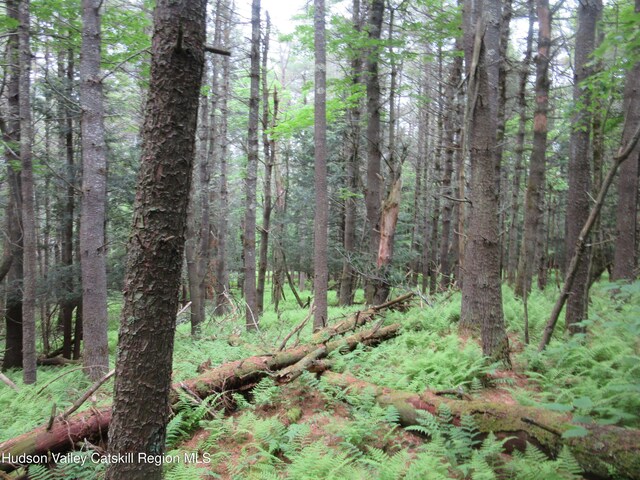 0 Rte 23c Lot, Lexington, NY 12452 - photo 9