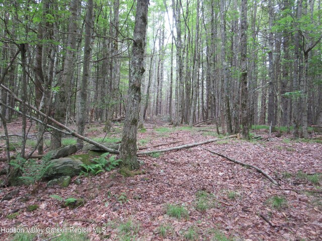 0 Rte 23c Lot, Lexington, NY 12452 - photo 6