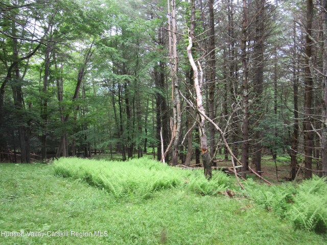 0 Rte 23c Lot, Lexington, NY 12452 - photo 22