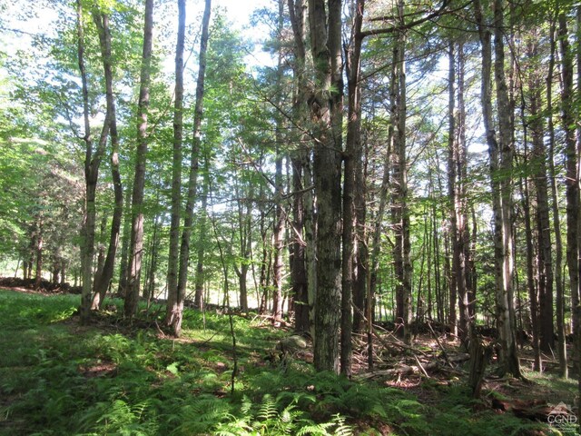 0 Rte 23c Lot, Lexington, NY 12452 - photo 43