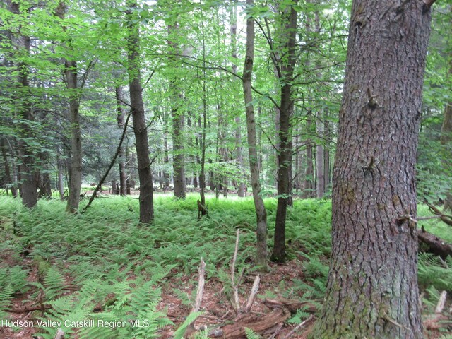 0 Rte 23c Lot, Lexington, NY 12452 - photo 11