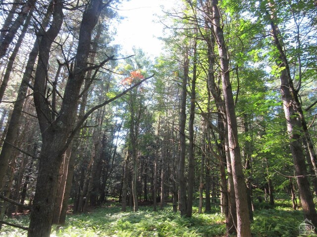 0 Rte 23c Lot, Lexington, NY 12452 - photo 36