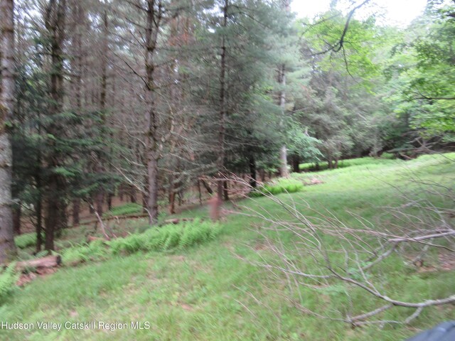 0 Rte 23c Lot, Lexington, NY 12452 - photo 23