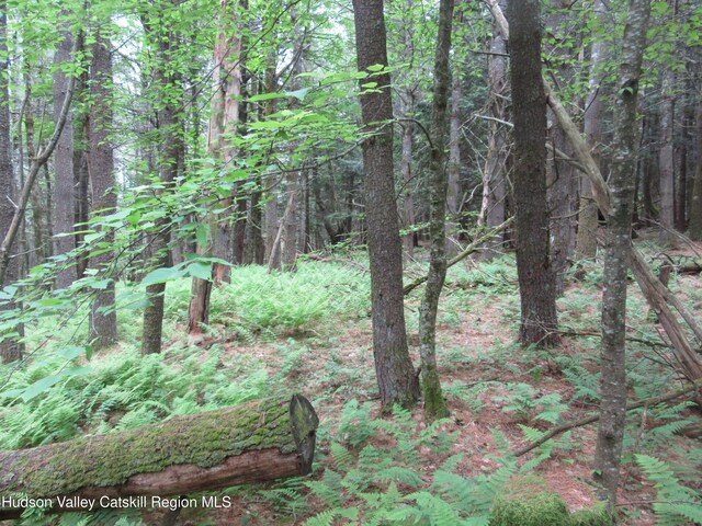 0 Rte 23c Lot, Lexington, NY 12452 - photo 12