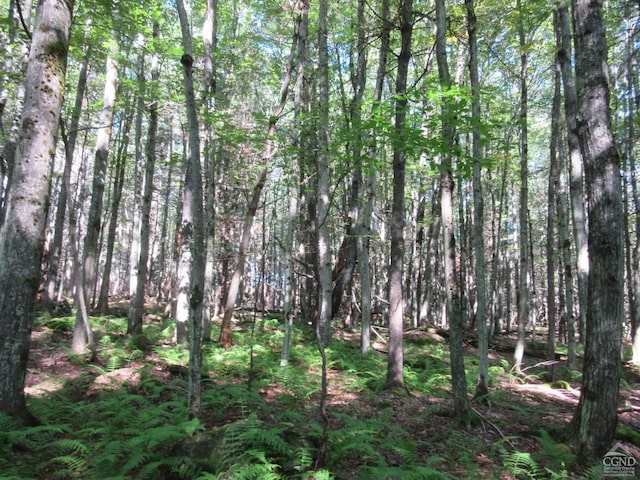 0 Rte 23c Lot, Lexington, NY 12452 - photo 41