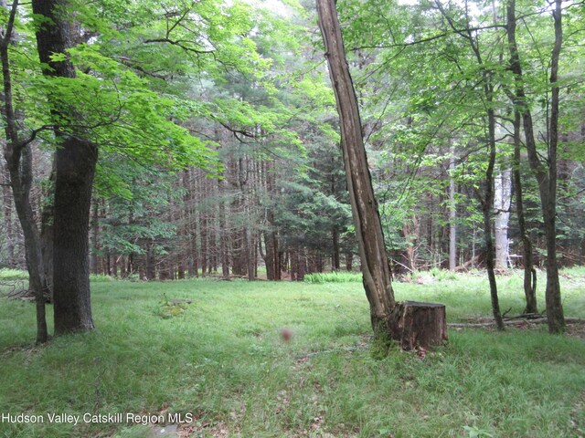 0 Rte 23c Lot, Lexington, NY 12452 - photo 19