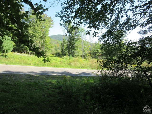 0 Rte 23c Lot, Lexington, NY 12452 - photo 47