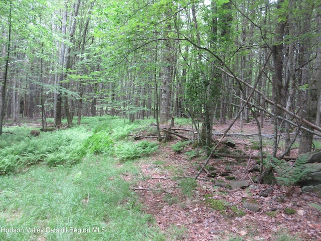 0 Rte 23c Lot, Lexington, NY 12452 - photo 5