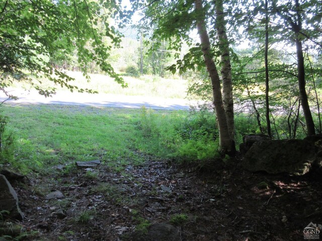 0 Rte 23c Lot, Lexington, NY 12452 - photo 46