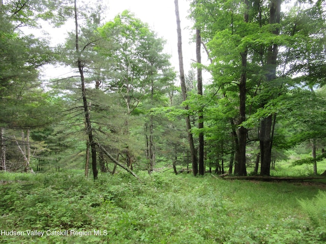 0 Rte 23c Lot, Lexington, NY 12452 - photo 27