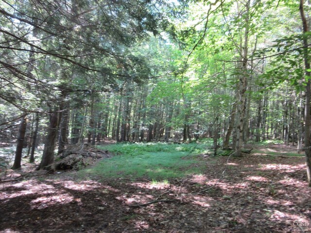 0 Rte 23c Lot, Lexington, NY 12452 - photo 14