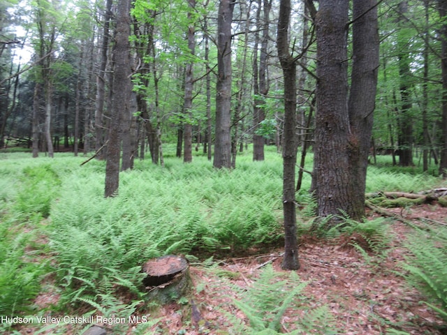 0 Rte 23c Lot, Lexington, NY 12452 - photo 7