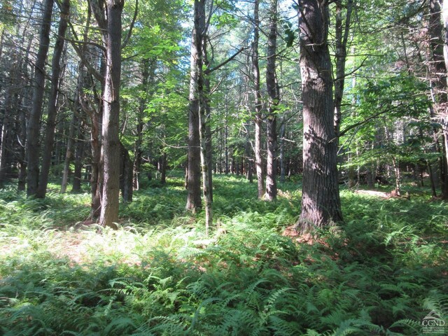 0 Rte 23c Lot, Lexington, NY 12452 - photo 34