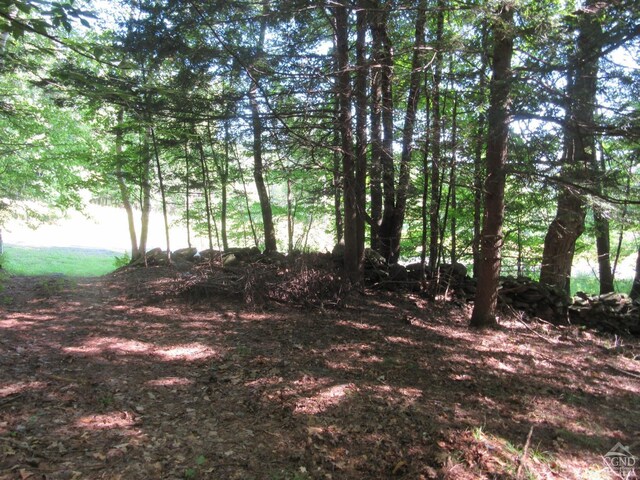 0 Rte 23c Lot, Lexington, NY 12452 - photo 45