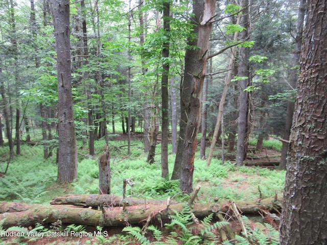 0 Rte 23c Lot, Lexington, NY 12452 - photo 10