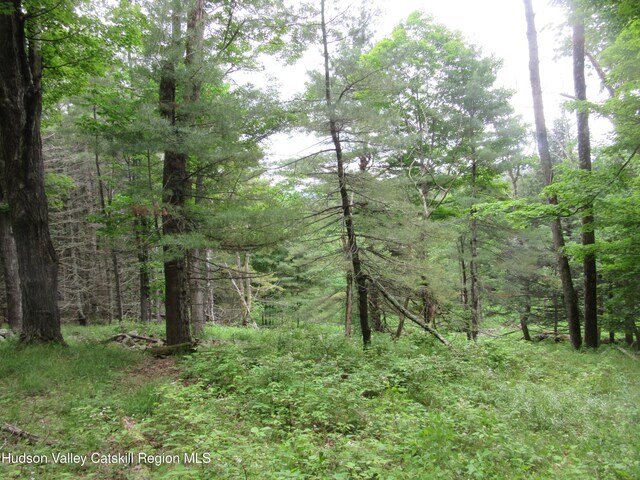 0 Rte 23c Lot, Lexington, NY 12452 - photo 28