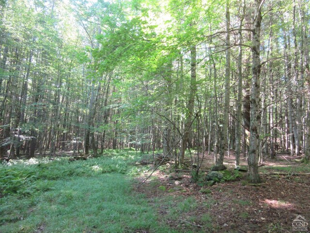 0 Rte 23c Lot, Lexington, NY 12452 - photo 16