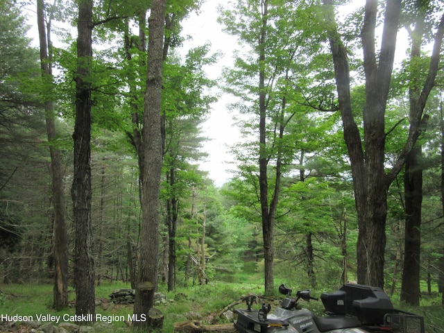 0 Rte 23c Lot, Lexington, NY 12452 - photo 30