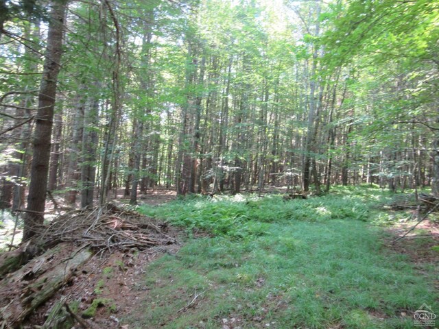 0 Rte 23c Lot, Lexington, NY 12452 - photo 15
