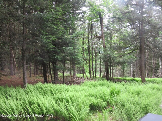 0 Rte 23c Lot, Lexington, NY 12452 - photo 25